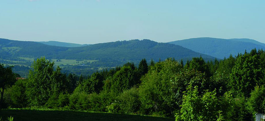 Herrliche Aussicht in den Bayerischen Wald